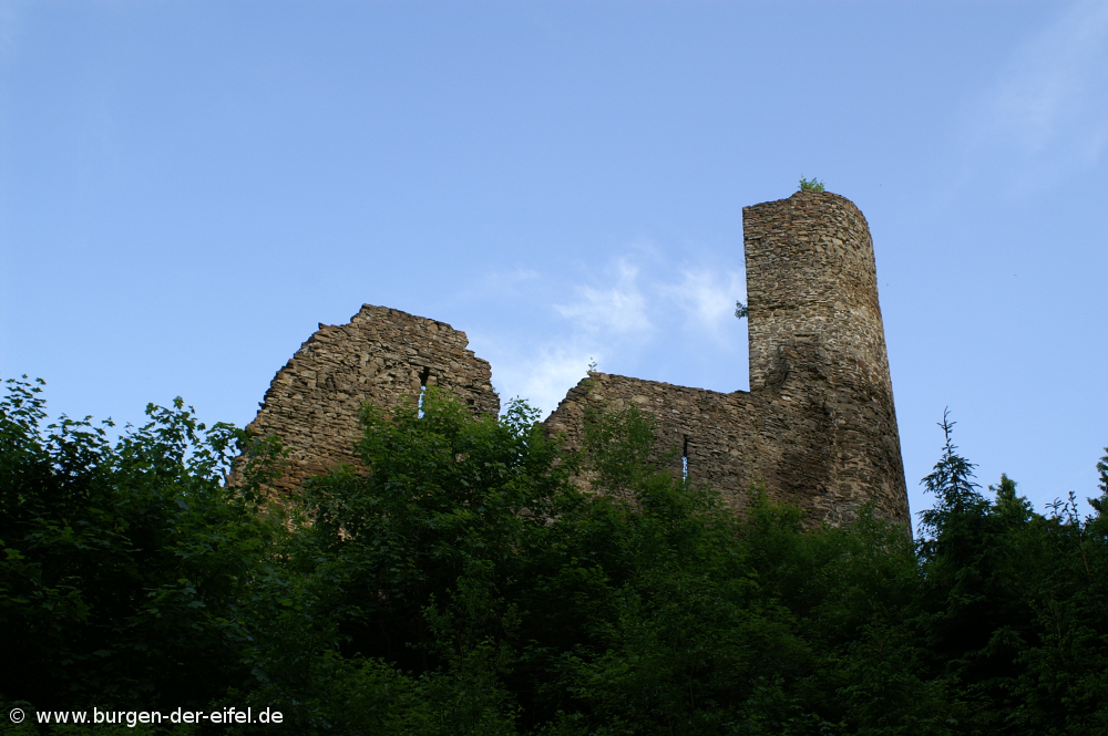 Burg Neublankenheim