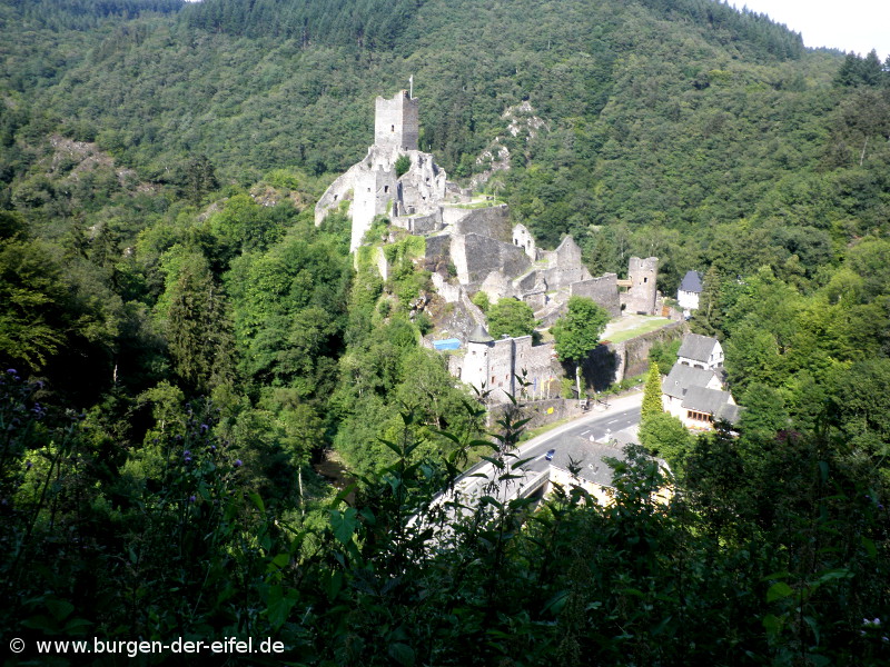 Niederburg in Manderscheid