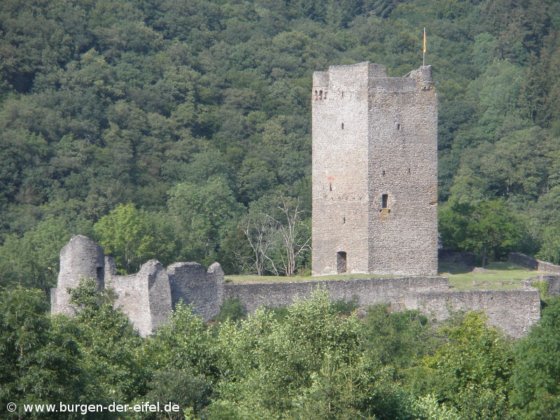 Oberburg in Manderscheid