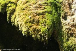 Wasserfall Dreimühlen