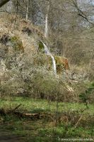 Wasserfall Dreimühlen
