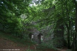 Burg Freudenkoppe