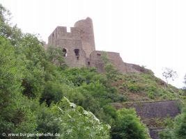 Löwenburg in Monreal