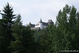 Burg Wildenburg