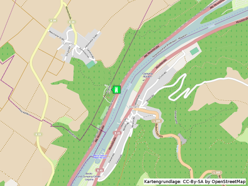 Lageplan der Burf Bischofstein