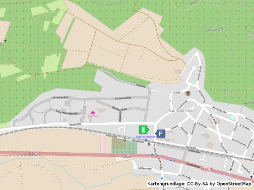 Lageplan der Burg Bodenburg