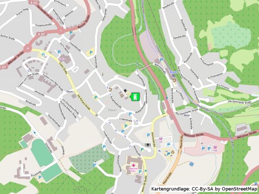 Lageplan der Burg Daun