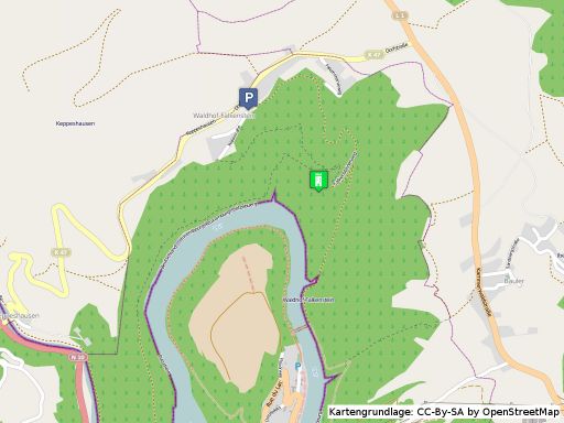 Lageplan der Burg Falkenstein