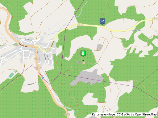 Lageplan der Burg Freudenkoppe