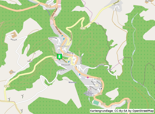 Lageplan der Burg Neuerbrurg