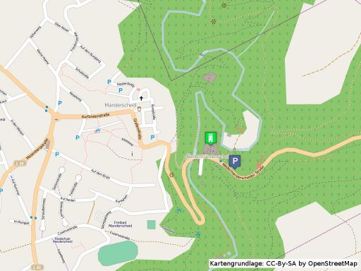 Lageplan der Niederburg bei Manderscheid