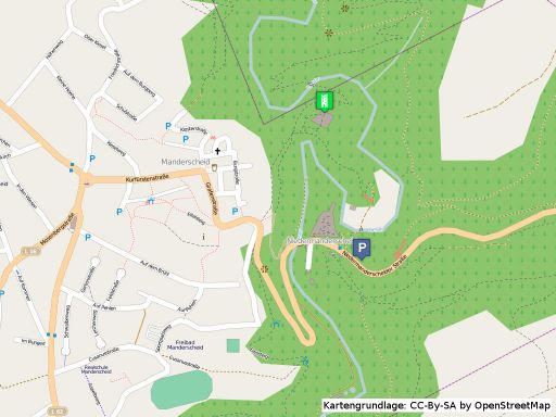 Lageplan der Oberburg in Manderscheid