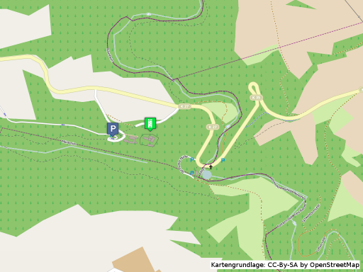 Lageplan der Burg Pyrmont