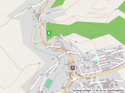 Lageplan der Burg Schönecken